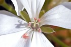 Foto 4 di 4