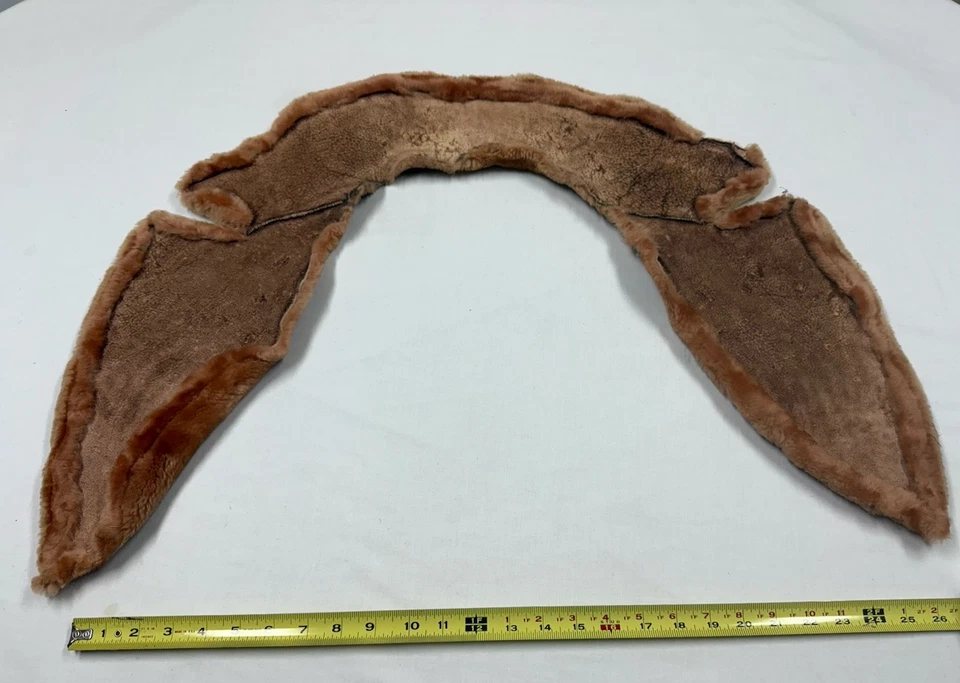 ¿Zorro cuello muescas esquilado vintage? Castor? Foto 3 de 4