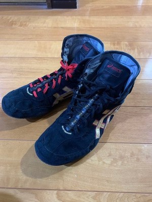 ASICS Box Ringerschuhe DAN GABLE EVO 3 1081A052 US10,5 (27,5cm EURO43,5)