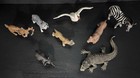 Schleich Mixed Lot Of 8 Animals dated from 2002 Elephant Zebra Swan Lion — photo 2