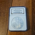 🔥  2005 American .999 Silver Eagle S$1 NCG MS69