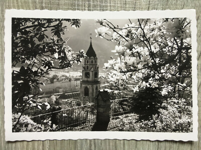 Postcard Merano Merano Primavera Spring Magnolia black | 2807