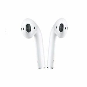 which is right and left earbuds which is right and left earbuds