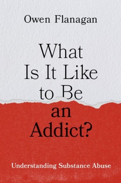 What Is It Like to Be an Addict? by Owen  Flanagan (Hardback Book)