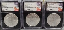 2017 (p,s,w) Ms70 Silver Eagle Struck At Designated Mint Mercanti Ngc-flag Label