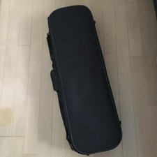 electric violin