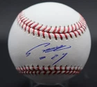 Seiya Suzuki Signed Baseball Autograph Auto PSA/DNA AM48889