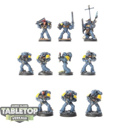 Space Wolves - 10 x Grey Hunters - bemalt