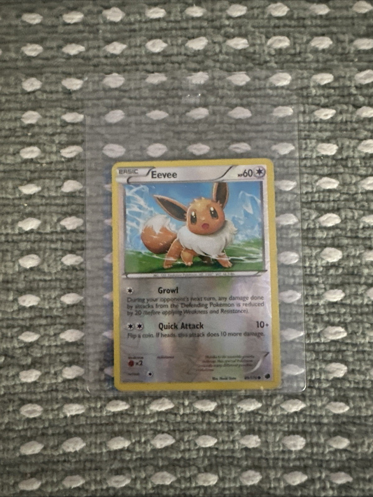 Eevee 89/116 Plasma Freeze Reverse Holo Pokemon Card