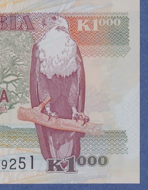 Zambia 1000 Kwacha 2011 P -44h  UNC Polymer Note - Eagle - Image 4 of 4
