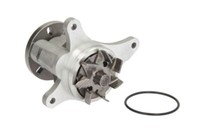 Thermotec Wasserpumpe Wapu FüR Citroen C5 C6 Peugeot 407 607 2.7D 12.04-