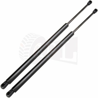 Aazon.co: PHILTOP Rear Tailgate Lift Supports Shock Struts