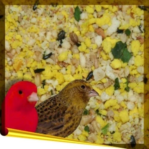 BIRDSANDMORE Complet Canary 5kg trockenes Eifutter extra für Kanarien Vögel Aufzuchtfutter