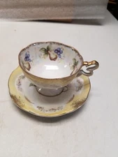 Pear and Grapes Design Footed Tea Cup and Saucer #208 (M)