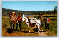 Vintage Postcard Funny Pioneer Gold Prospecting Country Humor Colton California 