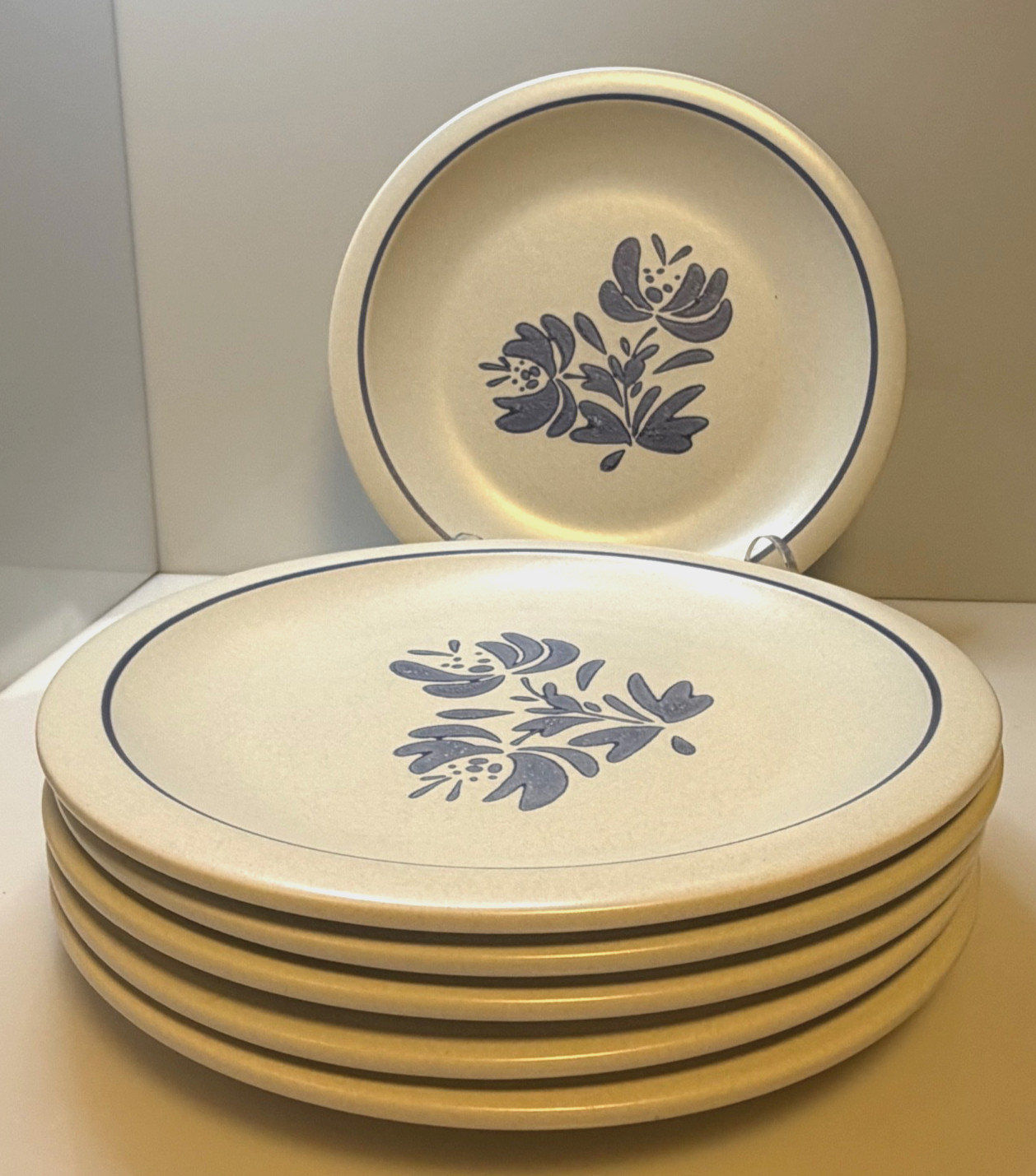 Set of 6 Vintage Pfaltzgraff Yorktowne Dinner Plates 10 1/4