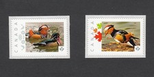 Canada 2014 MNH = MANDARIN DUCKS = Picture Postage Personalized stamps [p7-du2]