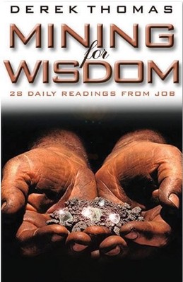 Mining for Wisdom: A Twenty-Eight-Day Devotional Based on the Book of Job