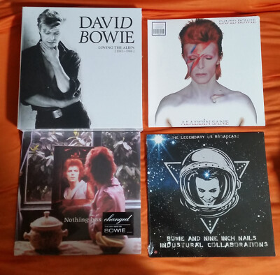 David Bowie Nothing has Changed  Loving The Aliens LP BOX