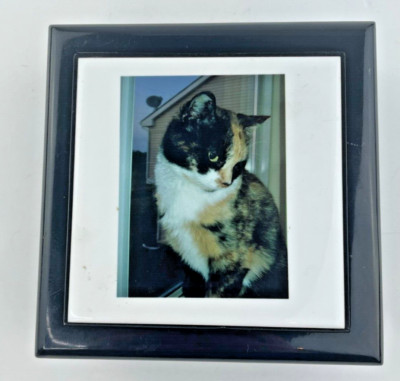 Cat Calico Jewelry/Trinket Box - Interior 4 1/2 x 4 1/2 x 1 1/4'' Storage