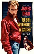 REBEL WITHOUT A CAUSE REPLICA 1955 MOVIE POSTER
