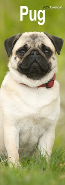 Pug Slim - Image 2