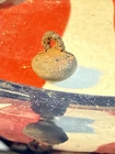 Dug Civil War 💥 🇺🇸 💣 Zouave Small Ball Button