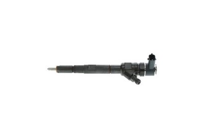 0 445 110 274 Bosch Fuel Injector for Hyundai, Kia