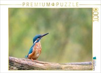 Calvendo Puzzle Kingfisher On Its Branch | 1000 Pieces, Finished Size 25.2 × 18.