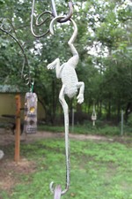 Charming Frogs Plant Hanger Extenders Great A...