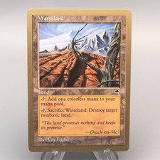 MTG Magic the Gathering Wasteland Gold Frame NM-EX 1997 inglese u034