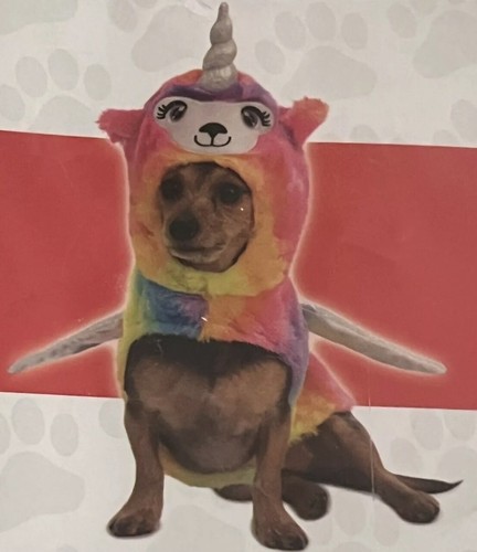 Rubie's Lamacorn Einhorn Hundekostüm groß mit Flügeln Halloween Haustier Outfit