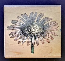 Hero Arts Rubber Stamps Daisy Poetic Petals Flower