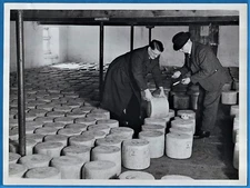 vintage photo Cheshire cheese manufacture occupational fromage UK 1937