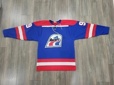 VINTAGE WAYNE GRETZKY INDIANAPOLIS RACERS JERSEY MEDIUM 23x31 CCM KOHO