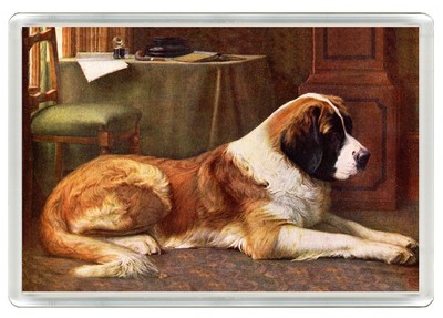 SAINT BERNARD HUNDEDRUCK NEUHEIT ACRYL KÜHLSCHRANKMAGNET TOLLES GESCHENK