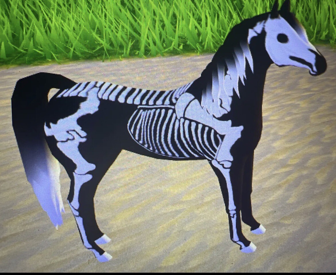 Skeleton Arabian Wild Horse Islands Roblox Skelly eBay