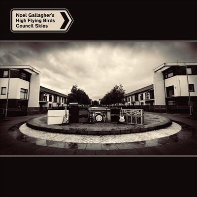 NOEL GALLAGHER'S HIGH FLYING VOGELS COUNCIL HIMMELS NEU LP