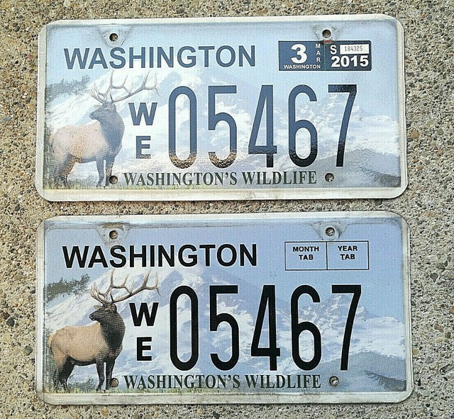 REAL WASHINGTON STATE PAIR LICENSE PLATE WILDLIFE AUTO CAR TAG ELK