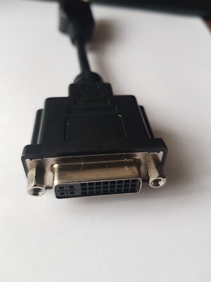 Display Port Stecker auf DVI-D Buchse Adapter Konverter Kabel 15cm