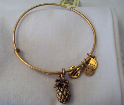 ALEX AND ANI GOLD TONE ENERGY, HEART AND PINEAPPLE AJUSTABLE CHARM BRACELET #T25