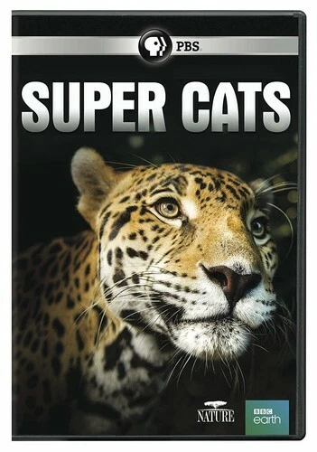 Nature: Super Cats (DVD)
