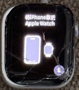 Apple Watch Series 10 42mm „Original Display“ LCD OLED  Screen DEFEKT!!!⚡️⚡️⚡️