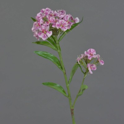 artplants Künstliche Bartnelke Archie, pink-rosa, 60cm, Ø7-16cm