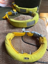 Halo 3 GPS Dog Collar Fence System size extra large
