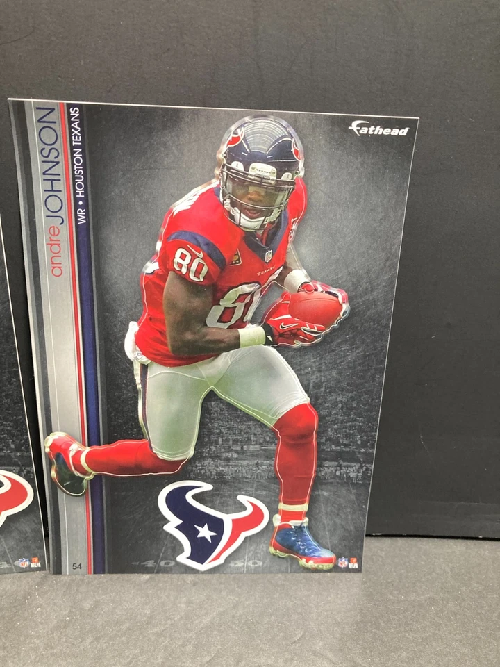 3 calcomanías intercambiables de la NFL Fathead 2013 de los Houston Texans Arian Foster Schaub Johnson Foto 4 de 4