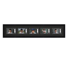 SGC Graded Card Frame Display Holds (5) Slabs Baseball, UV Protection (optional)