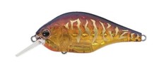 EverGreen ZR-4 Square Bill Crank Bait