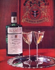 BURNETT'S GIN 1960's Vari-Vue 8 by 10 inch Lenticular 3-D Picture Exc. Condition
