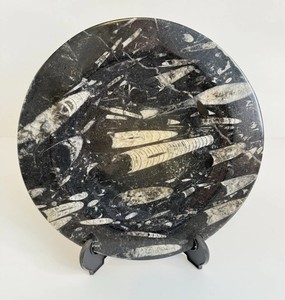Vtg ORTHOCERAS FOSSIL Dinner Plate Dish Tray 9.5” Polished Black & White Nice